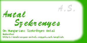 antal szekrenyes business card