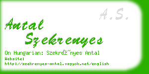 antal szekrenyes business card